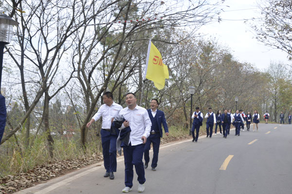 陽光行、快樂游